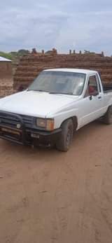 kaunjika