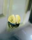 A picture of WELCOME TO MASSARATI GOLD BUY AND SELL SWAP ALL TYPE