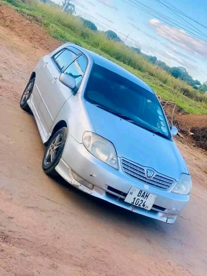 cars