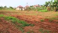 A picture of YOU HAVE BEEN LOOKING FOR A PLOT NEAR KAMPALA CITY