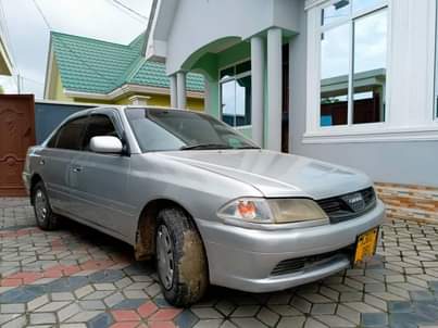 A picture of CARINA 0620356906