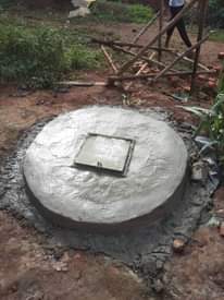 A picture of Amazzi gomuttaka