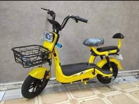 A picture of Electric bike