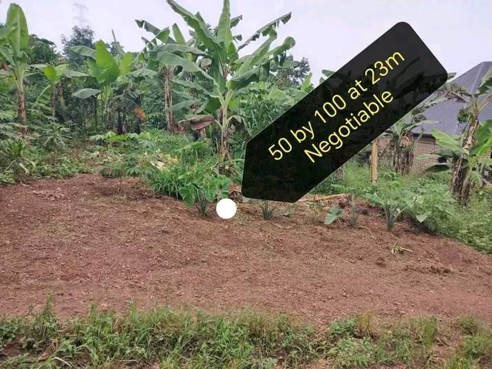 A picture of Plots
