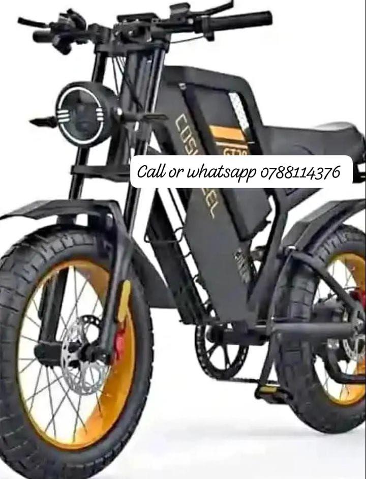 A picture of ELECTRIC BICYCLE FOR LIPA MDOGO MDOGO