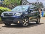 A picture of Subaru Forester 2015 model