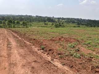 A picture of Cheapest plots with titles in kakiri Town 0704759507