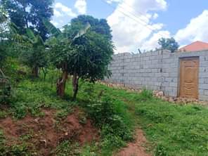 A picture of Good for home and rentals plot for sale in matugga