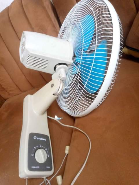 fans