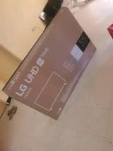 ecco