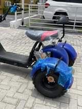 A picture of Electric Trike