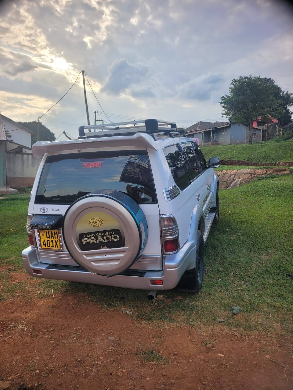 A picture of Prado tz
