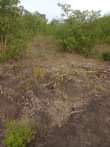 A picture of ZIMEBAKI HEKA 35 SHAMBA LAKUSAFISHA LINAUZWA MZENGA ZEGERO WILAYA YA