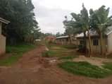 A picture of Matugga ssanga house with rental units