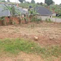 A picture of Land