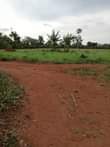 A picture of Good plots on sale Location Matuga gombe Along semuto road