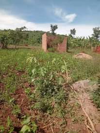 A picture of PLOT 70 100FT FOR SALE IN NAKASEKE KAPEEKA 4KM FROM