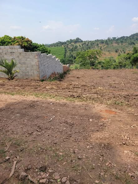 A picture of PLOTS AT 10M