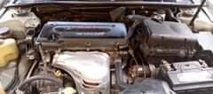 A picture of 2004 Toyota Camry big daddy Belgium Grade First body Buy