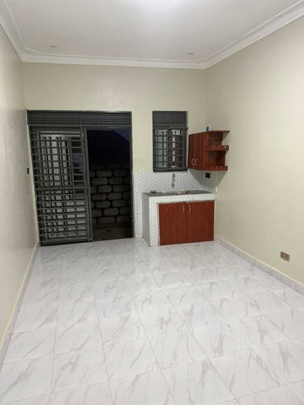 A picture of New rentals for sale nabulagala