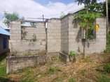 A picture of PANAUZWA MILION 6 2