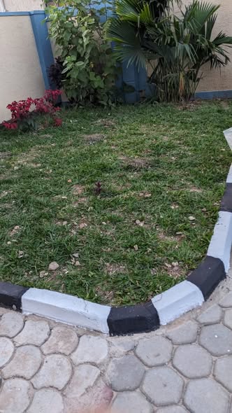 A picture of 22 Kibagabaga very nice and big furnished house for rent
