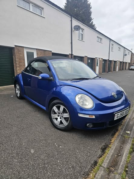 vw beetle