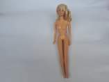A picture of Dolls