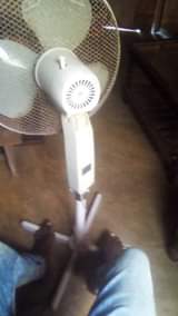 A picture of Feni
