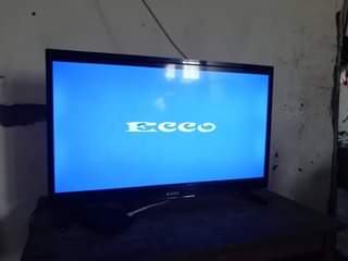 ecco