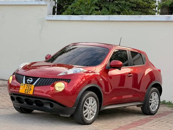 A picture of NISSAN JUKE