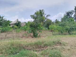 A picture of Tumshukuru Mwenyezi Mungu kwa sababu yeye ni mwema daima. Kiwanja