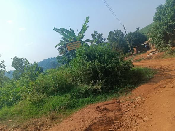 uganda plots