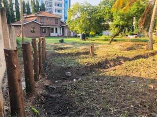 A picture of Eneo Linauzwa