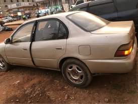 A picture of Kikumi 5 5m Now now Very nice 0708945019 0785475076