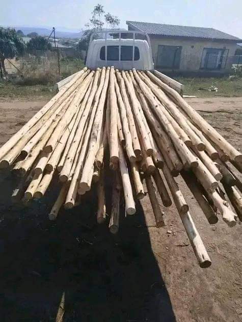 LIMPOPO V.