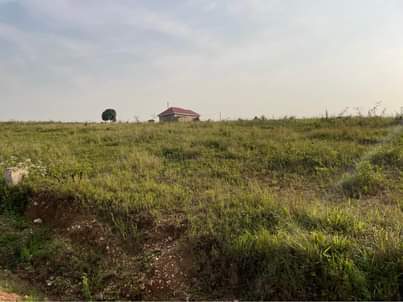 A picture of Plots at 18m Nakasajja kasenene