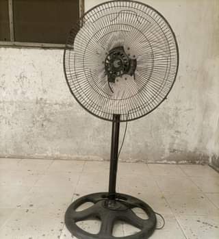 fans