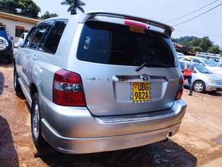 A picture of Kruger on sale 35m