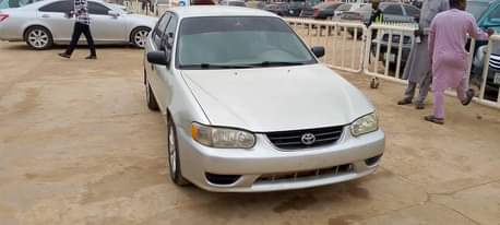 A picture of Small but mighty corolla