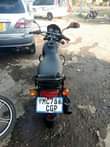 A picture of Boxer cc 125x