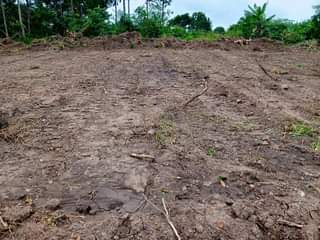 A picture of 50ft X 100ft affordable Estate Plots Agreement Sale available at