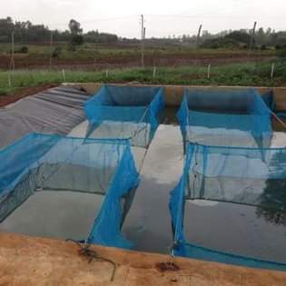 Farmers M.