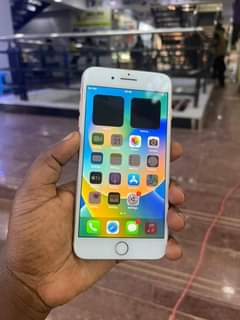 iphone 8