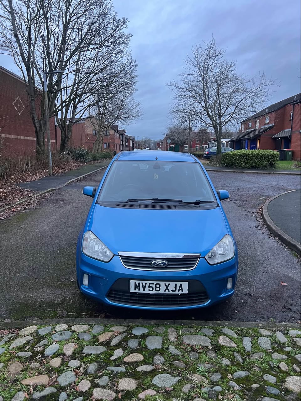 ford c max