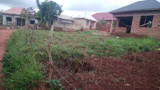 A picture of Plots of land
