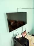 A picture of piga cm