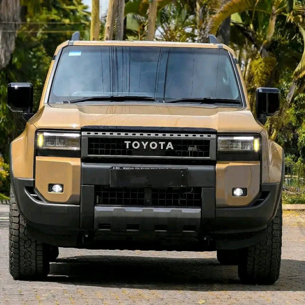 A picture of Prado 2025 for sale 380millions 0755622807