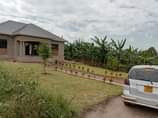 A picture of House seated on 100x100 feet at BUJUUKO 130m. Ready title