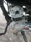 A picture of FULL DOCUMENT ZOTE 0659 666608